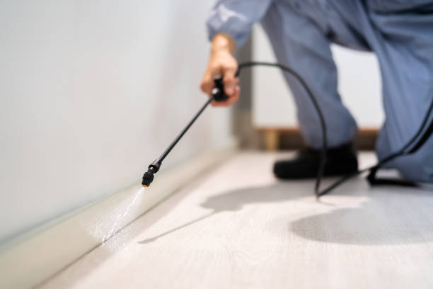 Licensed Cockroach Control service in Oxford, NC - Nex Pest Control