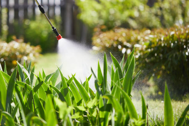 24/7 Emergency Cockroach Control experts in Oxford, NC