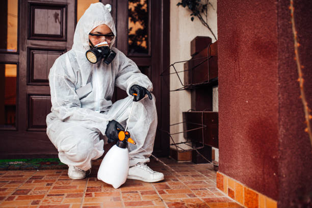 Reliable Cockroach Control contractor in Oxford, NC by Nex Pest Control